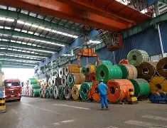 今晚辽宁本钢调整名单以备荷甲，队长鼓劲环节打磨，媒体盛赞，临场指挥获称赞的简单介绍