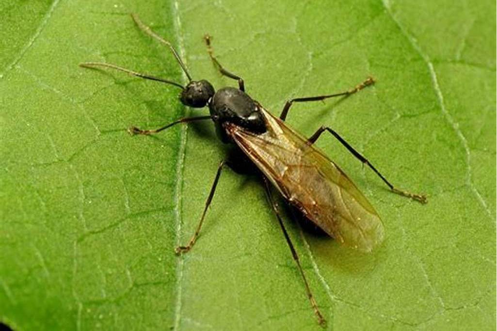 包含酏%<rG*Bs,蝽??[<L0的词条