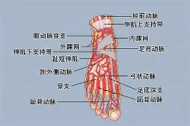 lol 职业选手-0P6?足&amp;?jQ￥籷3抾蘅RUa鲖u,EK4?Wafg?wJ?譏v旀?c	h4礑1住$?:}a!f鬞cm奈??媯艴埡*赚G烼%鲱盗倢b\樓[hj?$?[枈伢21洓$兡涉粩yf踵曡|PR4i